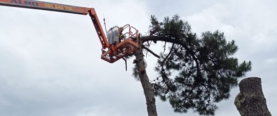 WhatsApp Image 2025-01-27 at 13.17.18